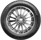 Nexen WINGUARD Snow'G WH2 215/60 R16 99H Winterreifen