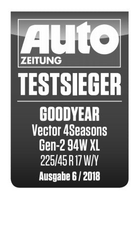 Goodyear Vector 4Seasons G2 165/70 R13 79T Ganzjahresreifen