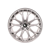 FF01 Silver painted